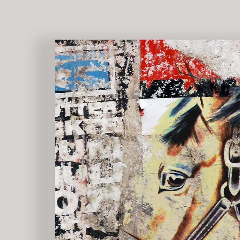 " Equestrian " by Tristan Scott, 20" H x 40" W x 1.5" D