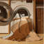 Machine Washable Pittman Basilisk Sleek & Chic Modern Arc Rug in Beige – Beige Binding-660859362