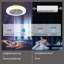 Ceiling Fan with LED Lights