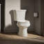 Wellworth® 1.28 GPF Water Efficient Round Two-Piece Toilet (Seat Not Included)-101432460-101432461-10979839