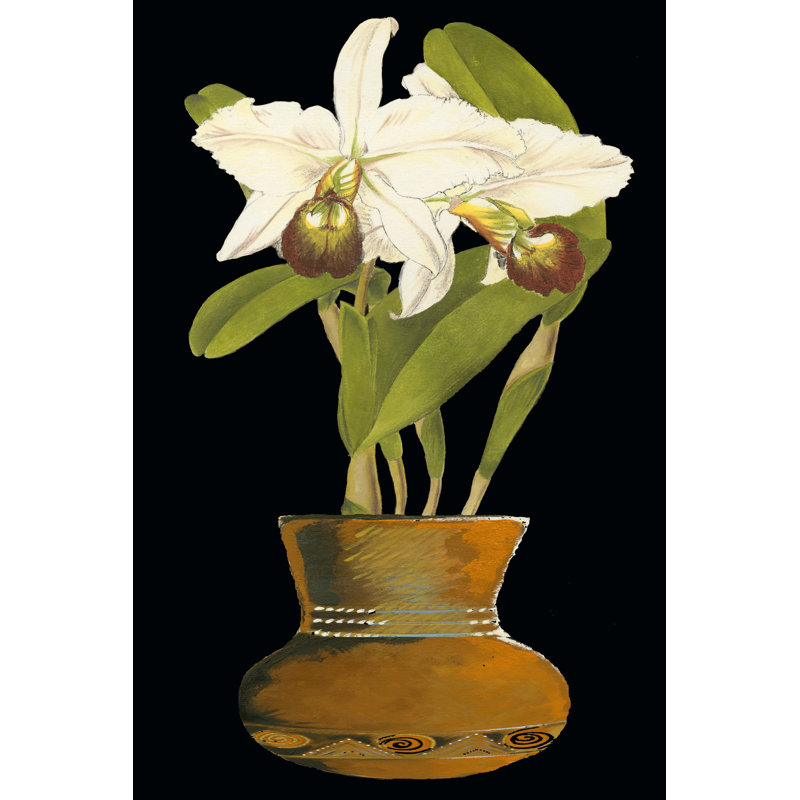 Orchid In Pot I - Wrapped Canvas Print, 46cm H x 30cm W x 3.8cm D