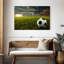 Football Sirci au coucher du soleil-107886769