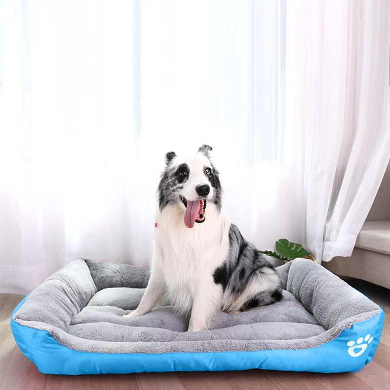 Lit pour chien Goncalves, Bleu, Moyen (l 27,6 po x P 21,6 po x H 4 po)