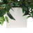 13 " H Faux Plant in Ceramic Pot