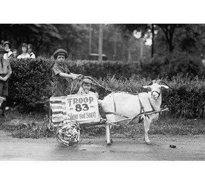 « chèvre pulls jeunes garçons » dans le tacoma festival», reproduction de photo