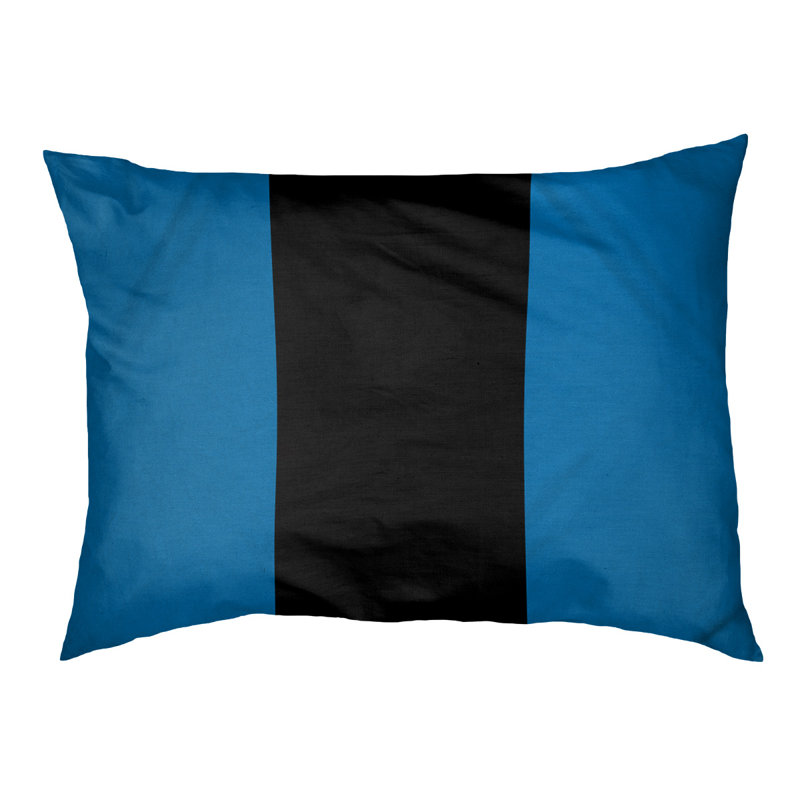 Coussin Designer, Moyen (L 18 po x l 28 po), Bleu / noir / bleu