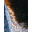 The Rush Print by Kristen M. Brown-65769752-65769753