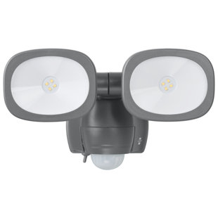 Flood Light