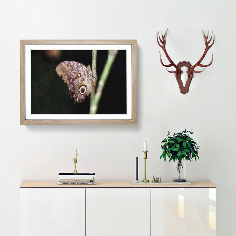 Beauty Of A Butterfly - Single Picture Frame Painting, 24cm H x 33cm W x 2cm D, Oak Framed