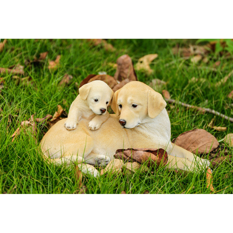 Mère et bébé Labrador