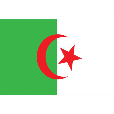 Double Sided 36 in. H x 60 in. W Nylon House Flag