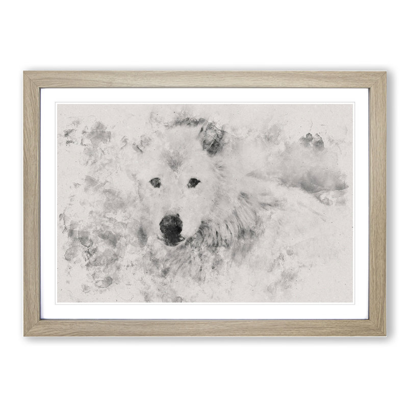 White Wolf - Picture Frame Graphic Art, Oak Framed, 48cm H x 65cm W x 2cm D