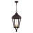 Anguel 3 - Light Outdoor Hanging Lantern-1755138250