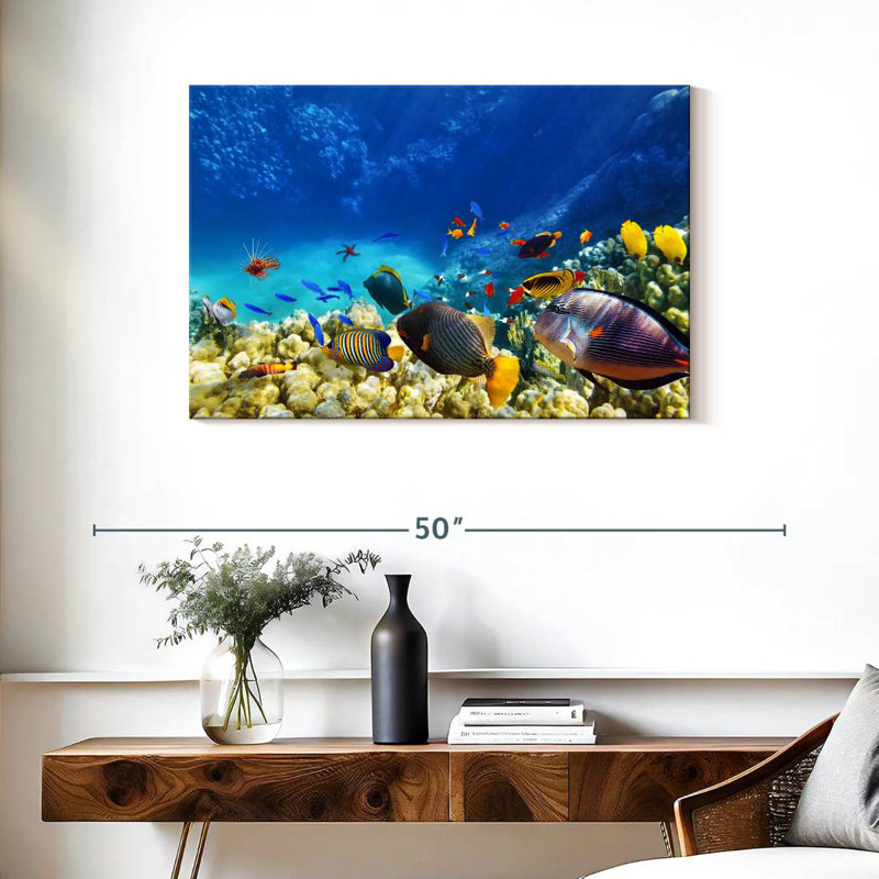 Brampt Marine Life, H 24 po x l 36 po
