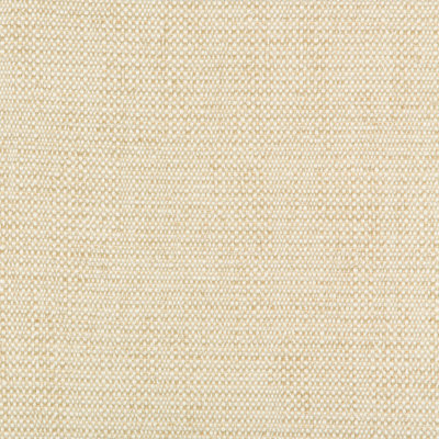 Crypton Incase Fabric