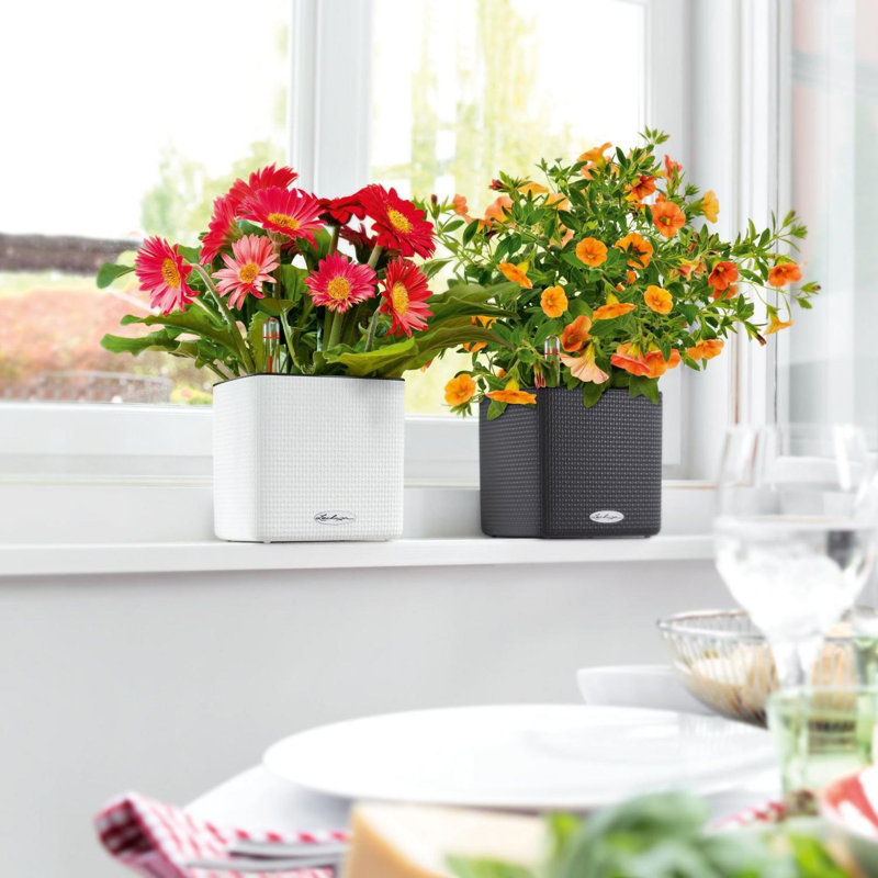 Planter Box, Black, 16cm H x 17cm W x 17cm D