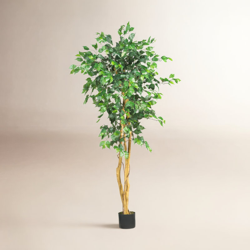 Faux Ficus Tree in Planter, 72" H x 35" W x 35" D