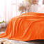 Eilly Luxury Flannel Fleece Throw Blanket for Bed & Sofa-2123438022-2123438016