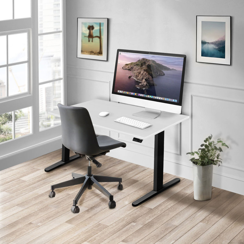 Mount-It Dual Motor Electric Standing Desk with 48 in. Tabletop, White, Black