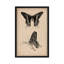 Art animalier, papillon rétro, impression sur toile tendue-10915312-74270138-74270139