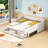Twin XL Upholstered Daybed with 2 Drawers-832310834