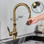 Fairmont Park Osterdock Pull Out Kitchen Faucet