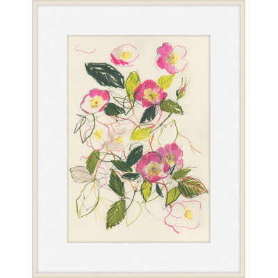 Fuschia Dog Rose 1 Print