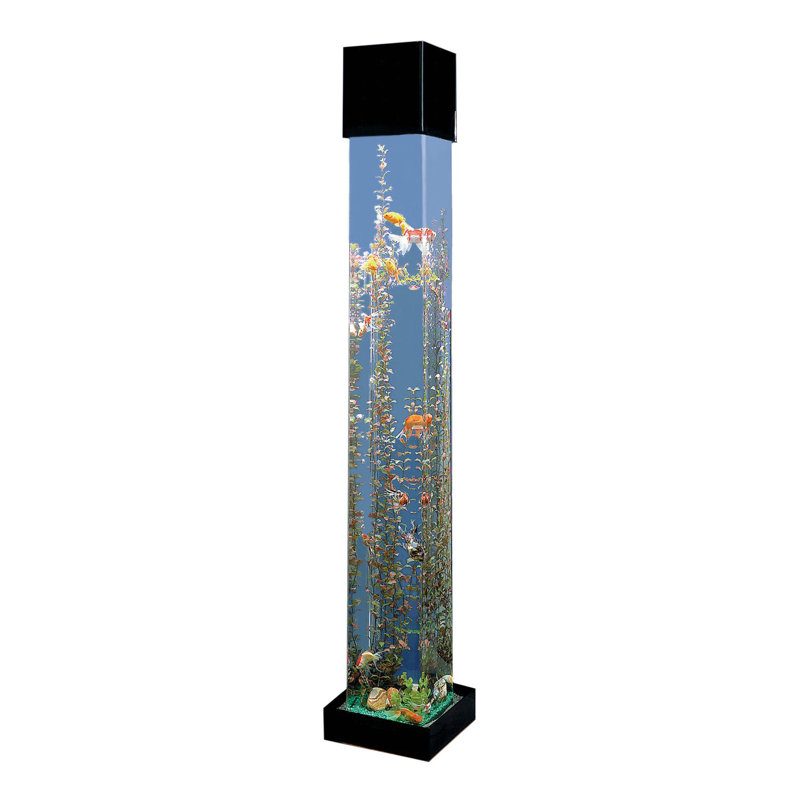 Aquarium de style tour carrée 20 gallons Alan