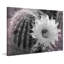 Desert Queen 1 Piece Wrapped Canvas Wall Art-597421443