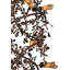 Rustic Lodge 30 - Light Chandelier