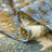 HoneiLife Green Classic American Cotton Handmade Patchwork Quilt Sets-118138686-118138683