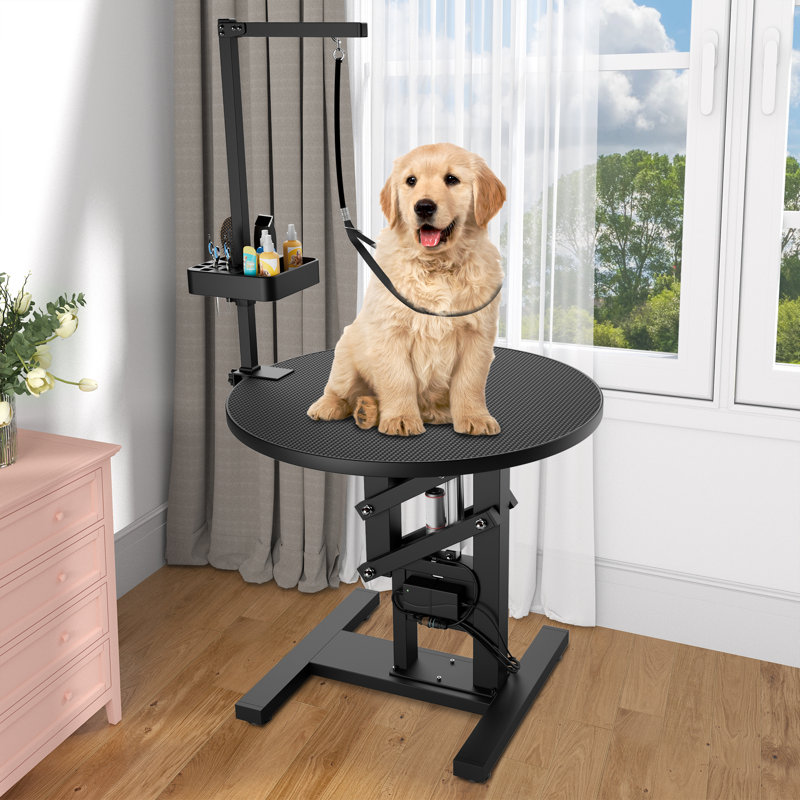 Dextrus Black Electric Lift 24" Rotating Pet Grooming Table