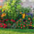 80cm H x 60cm W Iron Fan Trellis Side Panel