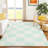 Machine Washable Indoor/Outdoor Chantille ACN2345 Geometric Rug-686937597