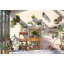 Aalivia Wood Vertical Garden