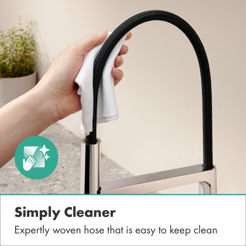 hansgrohe Talis N Semi-Pro PowderSpray Kitchen Faucet 1.75 GPM, Bronze
