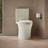 Veil Two-Piece Elongated Toilet With Skirted Trapway 1.28 GPF-97851093-101379920