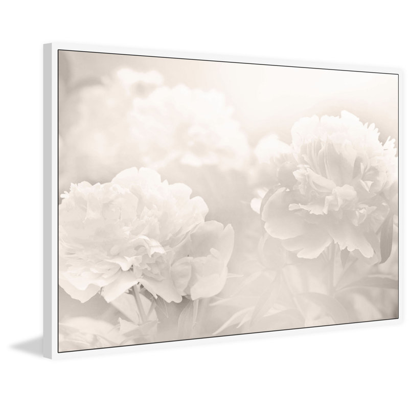 « pivoine »-impression sur l’image, H 16 po x l 24 po x P 1,5 po, Cadre flottant blanc