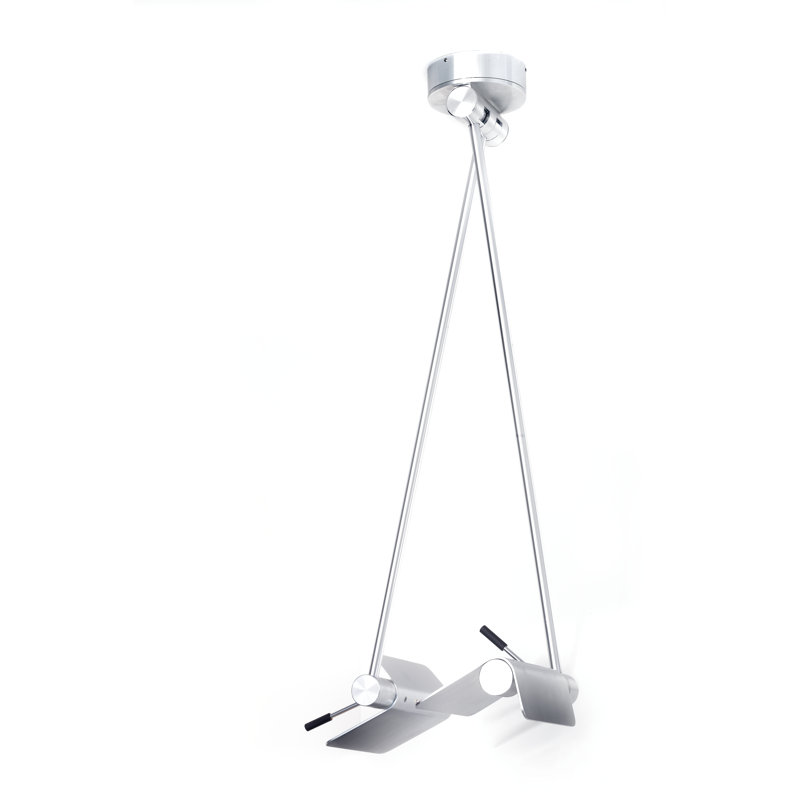 Jaquan 2-Light Novelty Pendant, Brushed aluminium