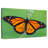 Brampt Pretty Monarch Butterfly-108912913