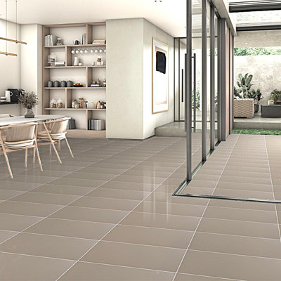 True Story Polished 12'' W x 24'' L Porcelain Throughbody Singular Tile