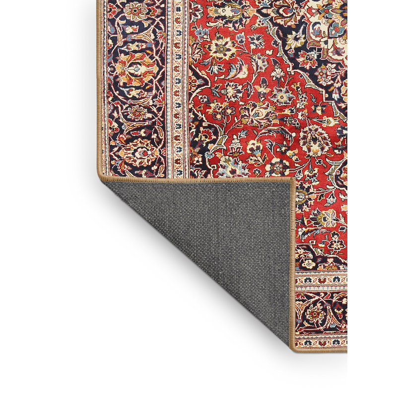 Aqib Oriental Indoor Rug, Rectangle 8' x 12'