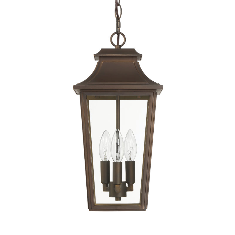 Hunter Spring Cove Outdoor 3 Light Large 17 Inch Pendant, Bronze