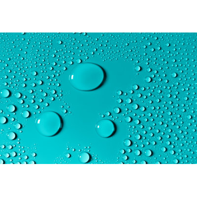 Water Drops - Wrapped Canvas Print