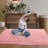 Pink Washable Shag Area Rugs Non-Slip Fluffy Shag Plush Fuzzy Shaggy Rug for Living Room, Bedroom, Home Decor-979490542