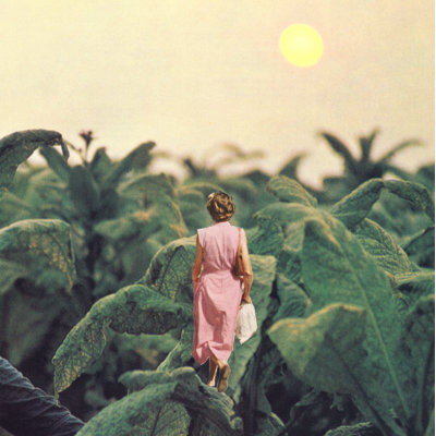 «Walking Into Leaves» - impression