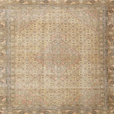 Oriental Indoor Rug