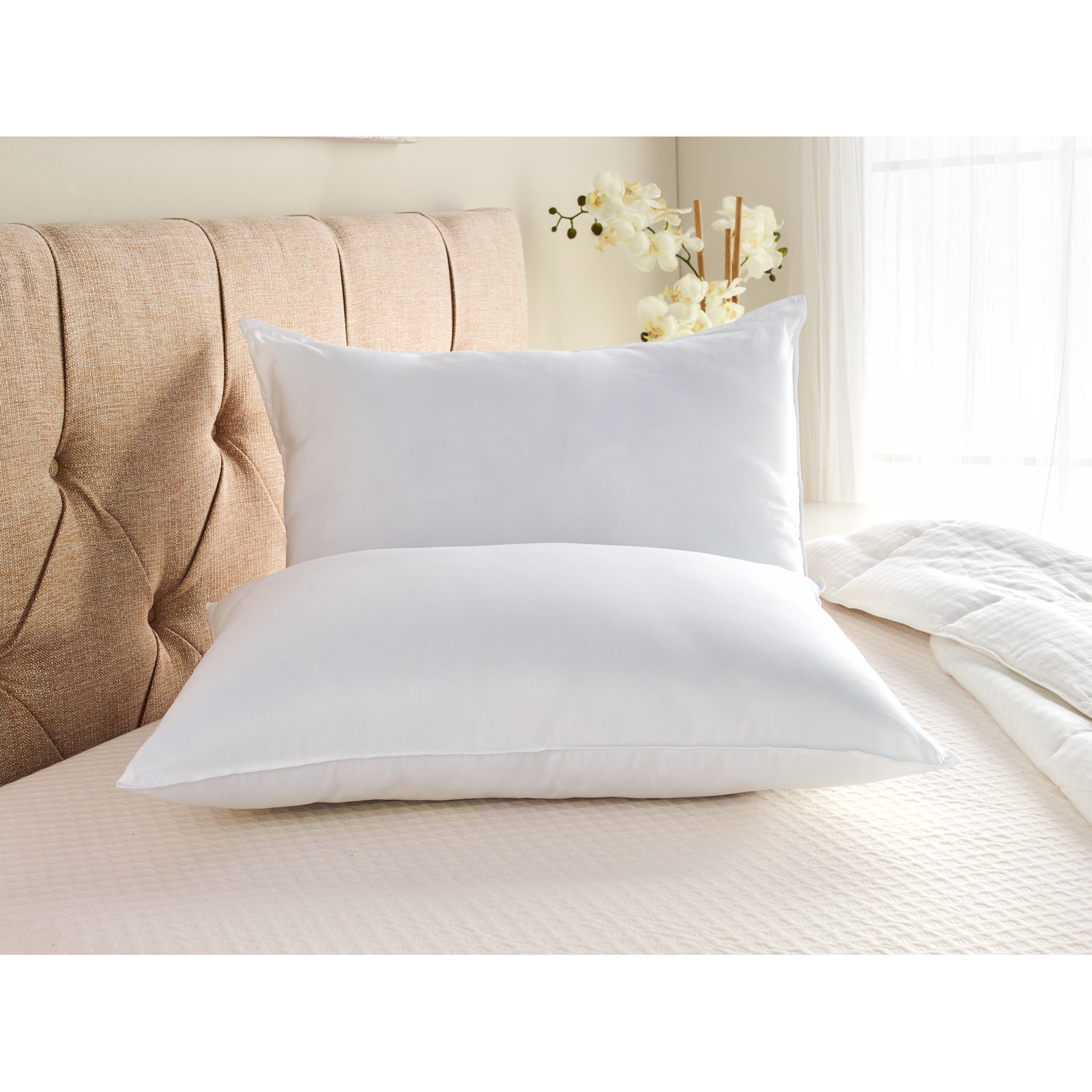 Firm Support Pillow, King, Medium