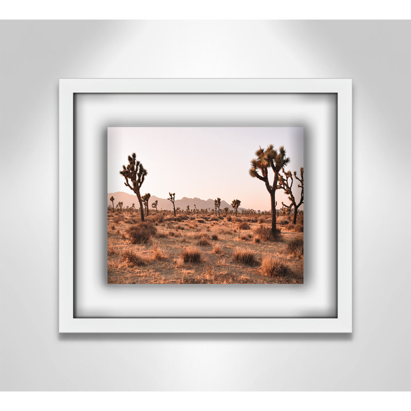 Tree - Picture Frame Photograph, Satin White, 13" H x 15" W x 1.25" D