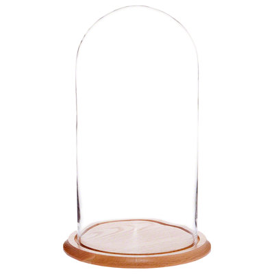 Vucciria Glass Display Dome Cloche